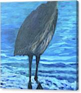 Sandhill Strut Canvas Print