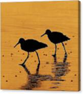 Sandpipers - At - Sunrise Canvas Print