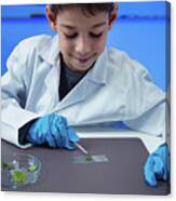 Schoolboy Putting Leaves On Microscope Slide Canvas Print