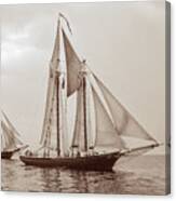 Schooner Race Canvas Print