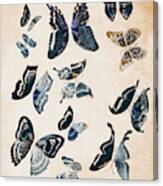 Scrapbook Butterflies Canvas Print