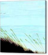 Sea Oats In The Wind Drawing Canvas Print