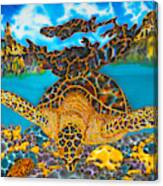 Sea Turtle And Atlantic Cowrie Shell Canvas Print