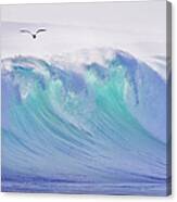 Seagull Flying Over Ocean Canvas Print