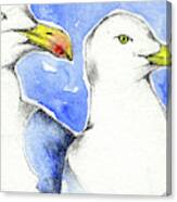 Seagull Friends Canvas Print