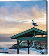 Seagull Welcomes The Day Canvas Print