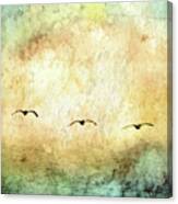 Seagulls In The Sky Square Iii Canvas Print