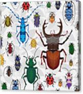 Seamless Pattern With Colorful Bugs Canvas Print