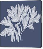 Seaweed 4 White On Indigo Blue Canvas Print