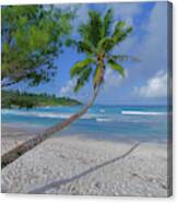 Seychelles Beach Canvas Print