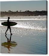 Silver Sun Surfer Canvas Print