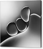 Silvery Shapes Canvas Print