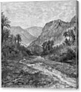 Sinai, Egypt, 1895 Canvas Print