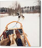 Sled Dogs Pulling A Sled Canvas Print