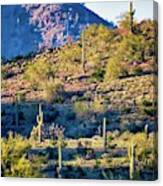 Slope Of The Saguaros Canvas Print