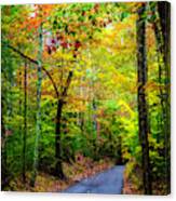 Smoky Mountain Autumn Colors Canvas Print