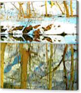 Snow Covered Forest Floor Reflected In A Winter Stream Canvas Print