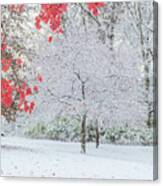 Snow Covered Tree And Red Leaves Canvas Print