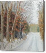 Snow On Bannockburn Rd Canvas Print