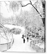 Snow Scene In Central Park Canvas Print