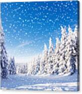 Snowfall In Amazing Winter Landscape Canvas Print