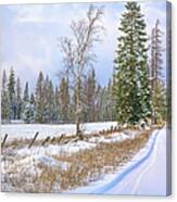 Snowy Country Lane In Rural Northern Canvas Print