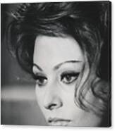 Sophia Loren Closeup Canvas Print