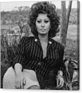 Sophia Loren Portrait Canvas Print