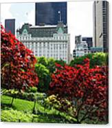 Southern View From Central Park Pond Canvas Print