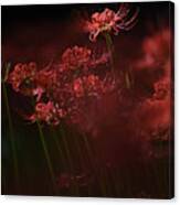 Sparkling Red Flower Canvas Print