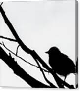 Sparrow In A Gray Sky Canvas Print