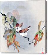 Sparrows Canvas Print