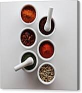 Spices With Mortars And Pestles Canvas Print