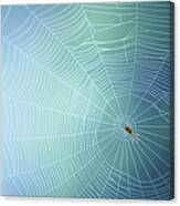 Spiders Web With Spider Canvas Print
