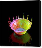 Splash Crown Of Coloured Liquid Canvas Print