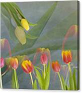 Spring Time Canvas Print