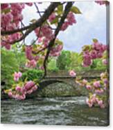Spring Time In Windham Canvas Print