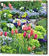 Spring Tulips Canvas Print