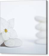 Stack Of White Pebbles And Jasmine Canvas Print