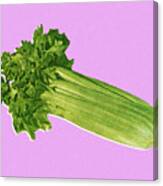 Stalk Of Celery Canvas Print