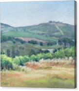 Stellenbosch Hills Canvas Print