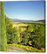 Sterling Vineyards 1 Canvas Print