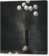Still Life With A Bouquet Of White Balls Canvas Print