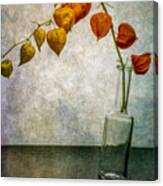 Still Life With A Branch Of Physalis In A Slanted Bottle Canvas Print