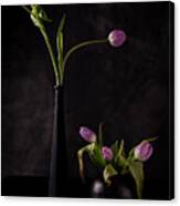 Still Life With Five Pink Tulips Canvas Print