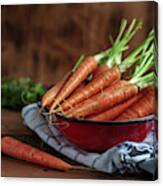 Still Life With Fresh Carrots Canvas Print