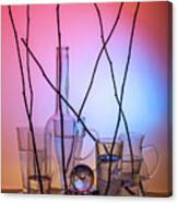 Still Life With Glassware With Liquid And Sticks Canvas Print