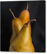 Still Life With Pears Canvas Print