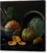 Still Life With Pumpkins #5 Canvas Print