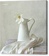 Still Life With White Flower Canvas Print